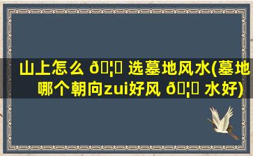 山上怎么 🦈 选墓地风水(墓地哪个朝向zui
好风 🦆 水好)